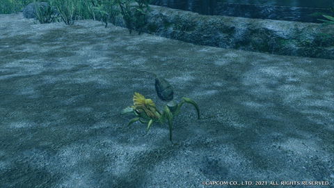 Altaroth - details, drops and where to find