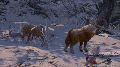 Anteka - details, drops and location