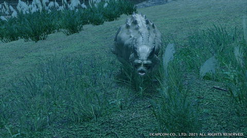 Bombadgy - details, drops and location