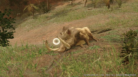 Bullfango - details, drops and location