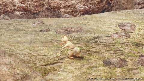 Felyne - details, drops and where to find