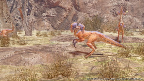 Jaggi - details and where to find