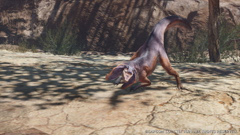 Jaggia - details and where to find