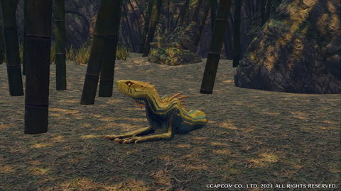 Jagras - details, drops and where to find