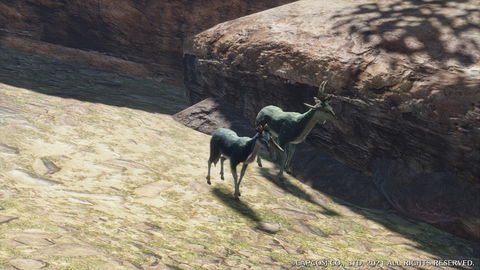 Kelbi - details, drops and where to find