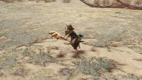 Melynx - details, drops and where to find