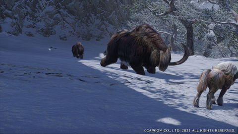 Popo - details, drops and location