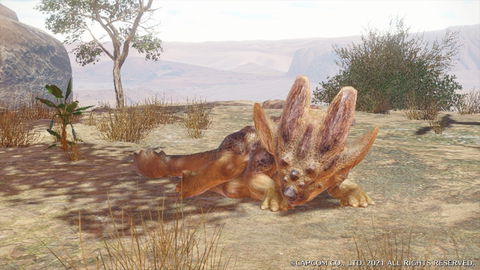 Rhenoplos - carves, rewards, location