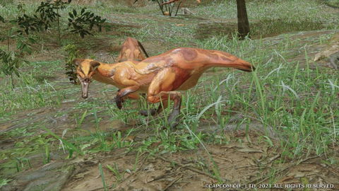 Wroggi - details, drops and where to find