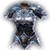 Githyanki Half Plate icon bg3