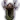 Wapira's Crown icon bg3