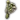 Swarming Toadstool icon bg3
