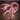 Turn Undead icon action bg3