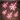 Sleet Storm icon action bg3