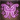 Faerie Fire icon action bg3