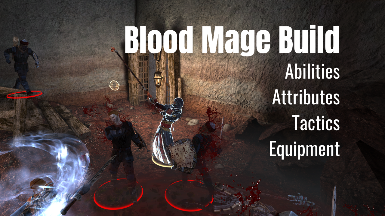 Blood Mage build cover image