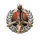 champion bg3