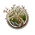 land druid bg3