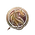 draconic bloodline sorcerer bg3