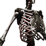 epimorphic skeleton cyberpunk 2077