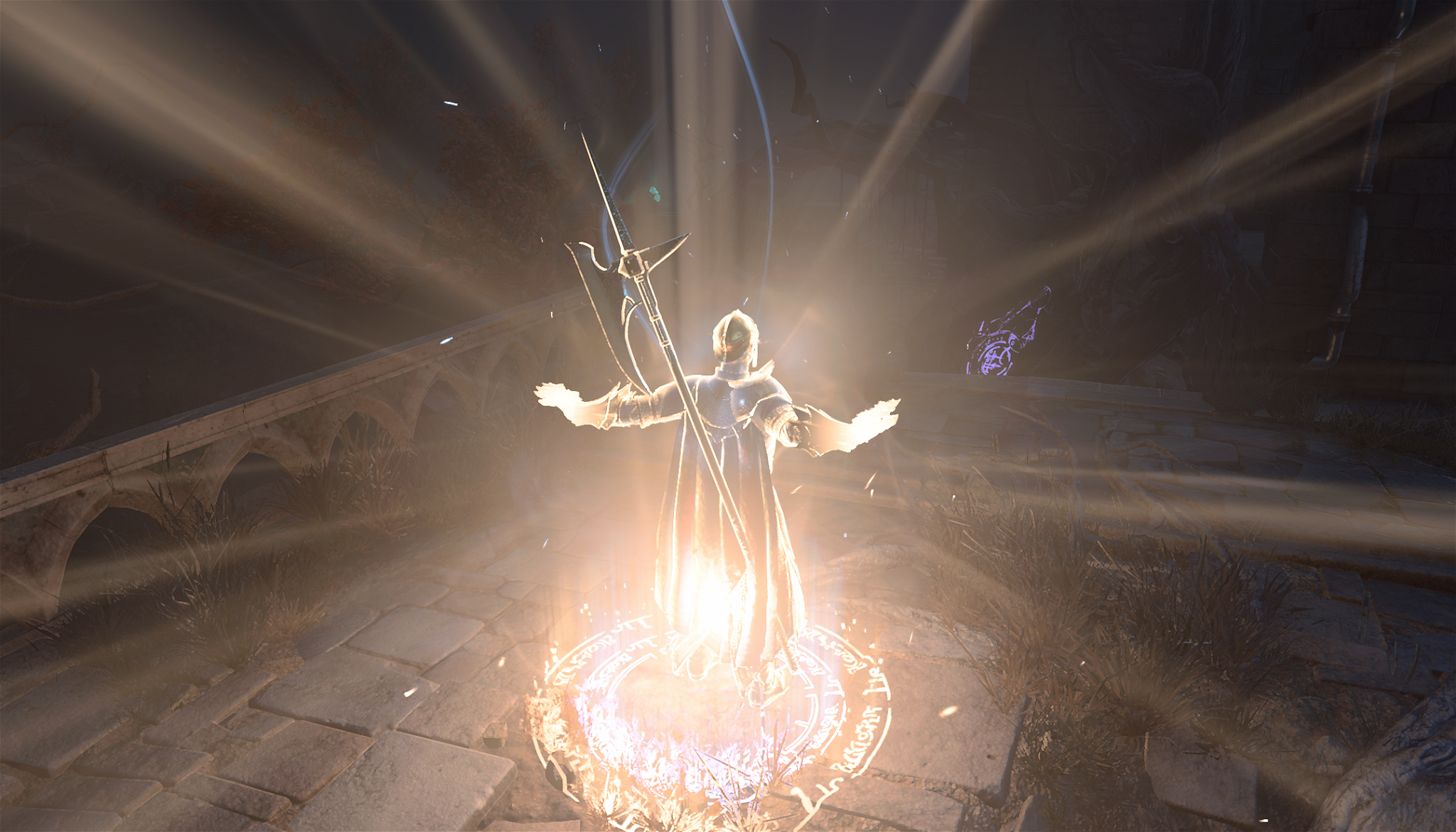 Oath of Devotion Paladin Build cover image