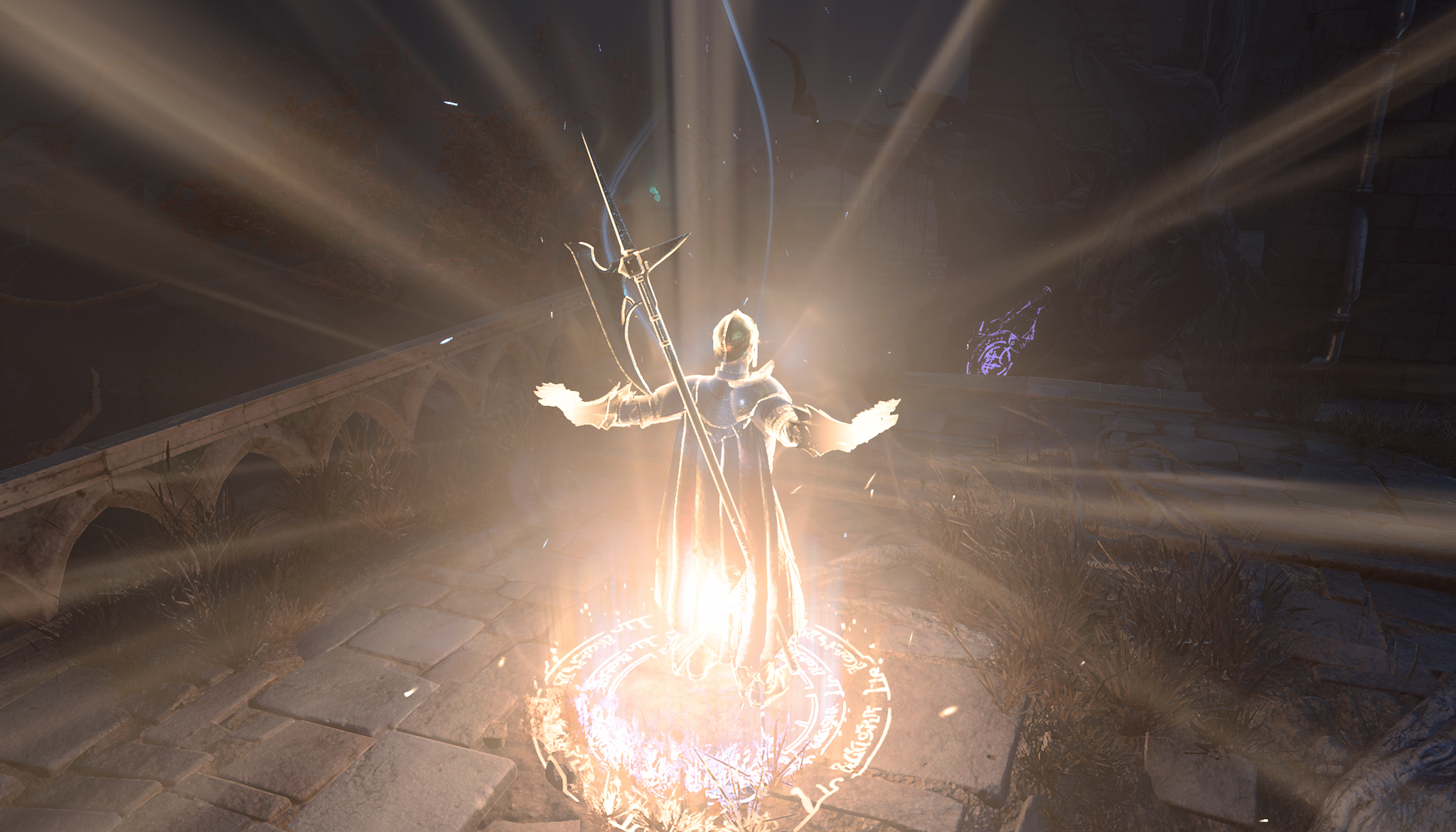 Oath of Devotion Paladin Build cover image