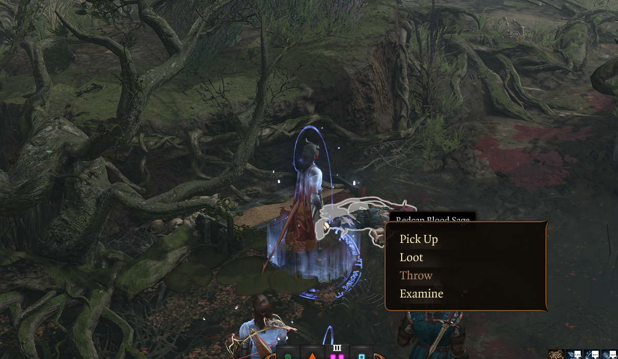 picking up bodies bg3