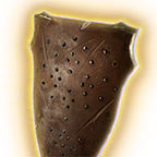 shield of shielding bg3