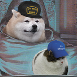 DogeProfessor avatar